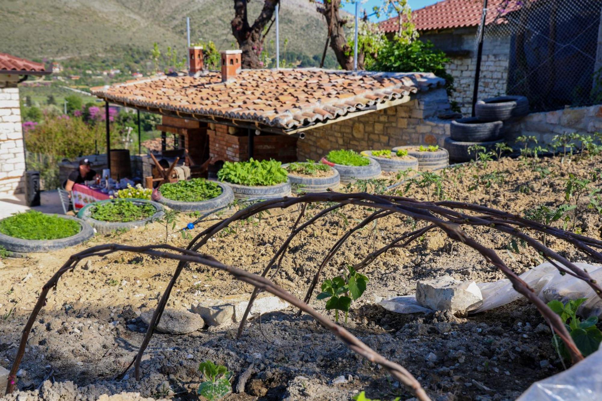 Villa Shpiragu Village Experience Μπεράτ Εξωτερικό φωτογραφία